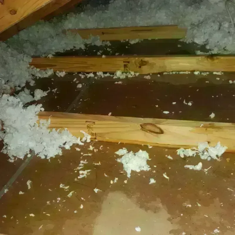 Attic Water Damage in North Bend, WA