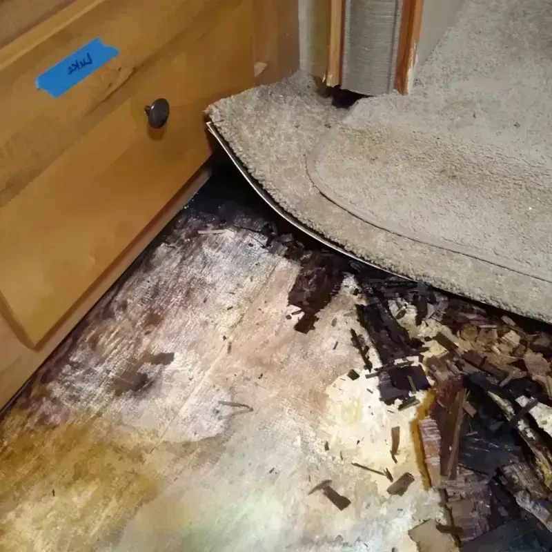 Wood Floor Water Damage in North Bend, WA